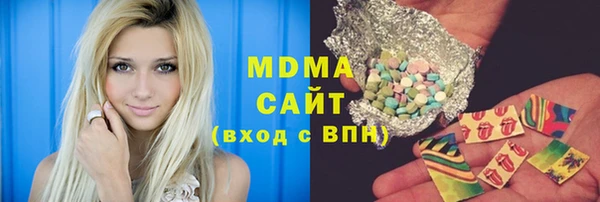 индика Алексин