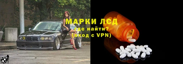 индика Алексин