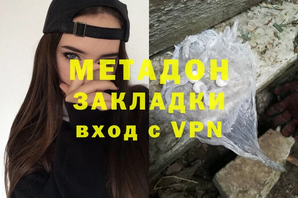 индика Алексин