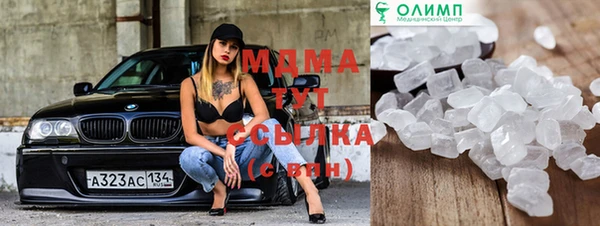 индика Алексин