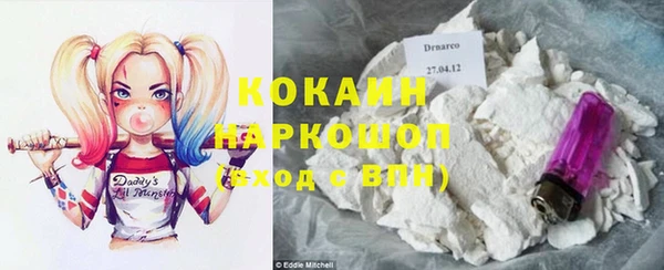 индика Алексин