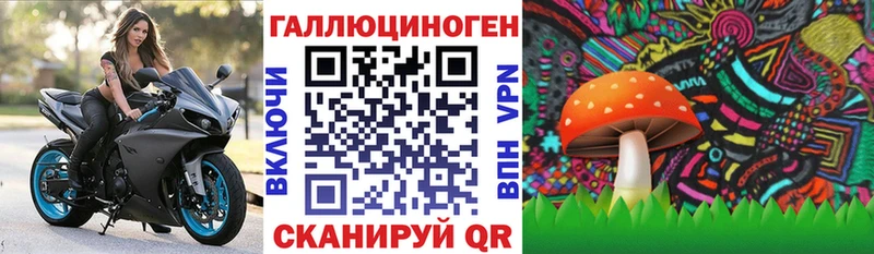 Галлюциногенные грибы GOLDEN TEACHER  KRAKEN ССЫЛКА  Мантурово 